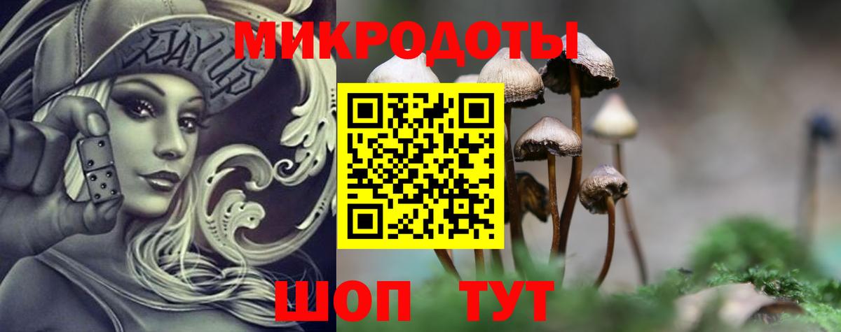 Псилоцибиновые грибы Psilocybine cubensis  Вход с VPN  Шарыпово  Галлюциногенные грибы Psilocybe 